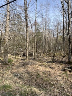 /international/us/lot-814-white-pine-drive-pocono-lake-pa-110099166659/?lang=es