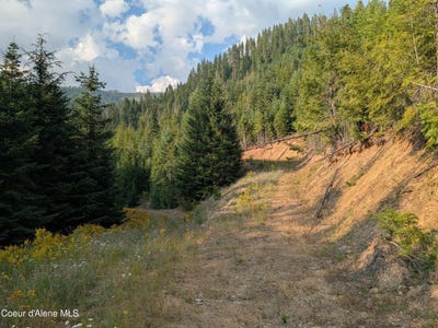 /international/us/nna-20-02a-daisy-gulch-rd-mullan-id-110119560410/