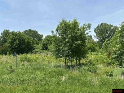 /international/us/29036-biehn-drive-madison-lake-mn-110099988410/?lang=zh-tw