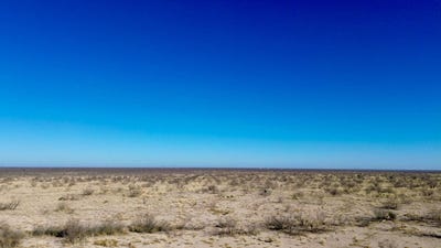 /international/us/0-buena-vista-rd-imperial-tx-110106351330/