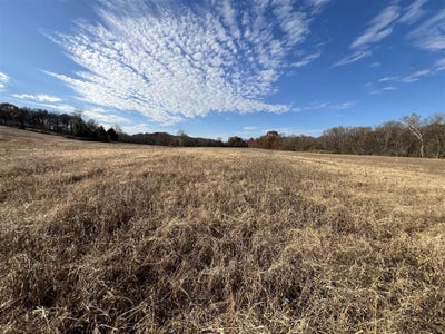 /international/us/117-71-acres-cemetery-road-scottsville-ky-110103656224/