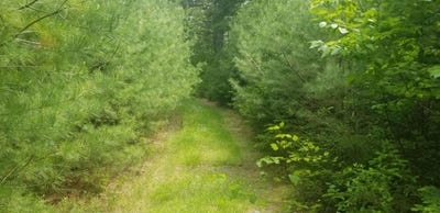 /international/us/m13-l36-harland-cunningham-road-penobscot-me-110100051286/?lang=zh-tw