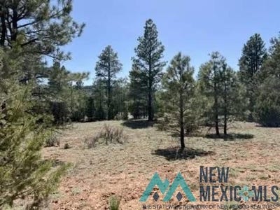 /international/us/807-timberlake-road-ramah-nm-110107385521/