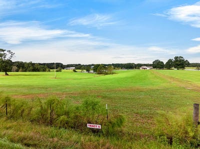 /international/us/parcel-5-el-shaddai-rd-poplarville-ms-110120418170/