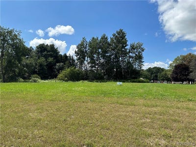 /international/us/lot-5-tanglewood-development-allegany-ny-110081514610/?lang=zh-tw