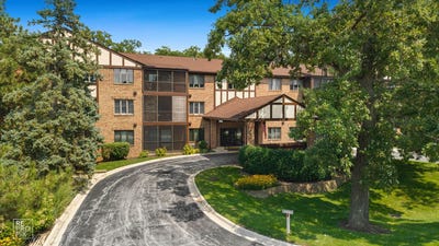 /international/us/7800-w-foresthill-lane-palos-heights-il-110119603541/