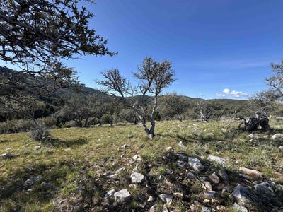/international/us/anthony-circle-lot-81-lava-hot-springs-id-110107909250/