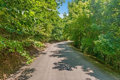 /international/us/2-shoreside-dr-lot-2-smithville-tn-110103157338/