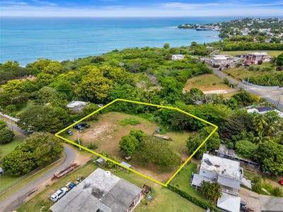 /international/us/bo-florida-solar-4-vieques-pr-110107477827/