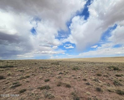/international/us/lot-78-79-vein-of-gold-sun-valley-az-110101965121/