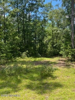 /international/us/6681-mossey-run-drive-ne-leland-nc-110086069325/