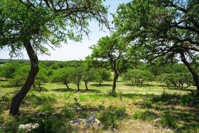 /international/us/101-mystic-overlook-dr-dripping-springs-tx-110109164783/