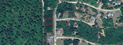 /international/us/0-ne-213-avenue-fort-mc-coy-fl-110108266103/