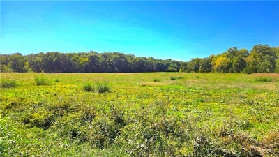 /international/us/e-1000-road-pleasanton-ks-110120456238/