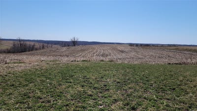 /international/us/osceola-ia-110098381587/