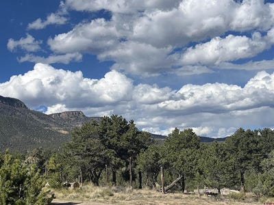 /international/us/51-winook-circle-south-fork-co-110120488123/