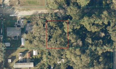 /international/us/tbd-lot-34-ne-130th-lane-salt-springs-fl-110107898840/