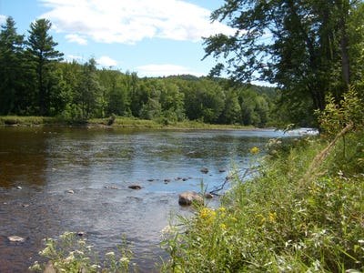 /international/us/new-york-9n-au-sable-forks-ny-110110045646/