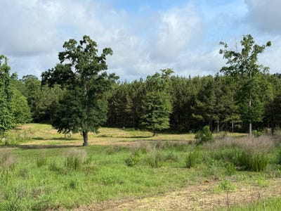 /international/us/0-e-dogwood-trail-georgiana-al-110108552926/