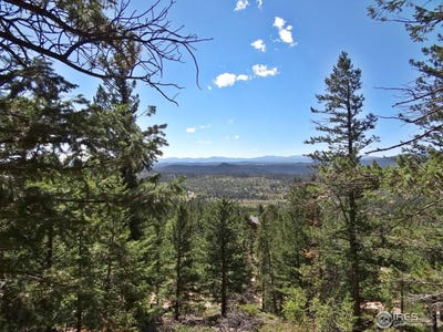 /international/us/203-mattapony-way-red-feather-lakes-co-110099374989/