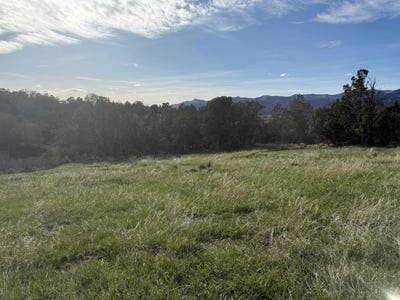 /international/us/14495-scott-loop-collbran-co-110096272437/
