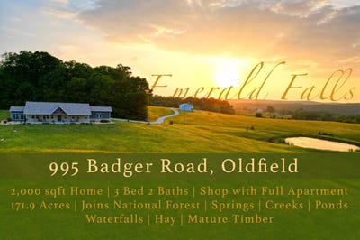 /international/us/995-badger-road-oldfield-mo-110108412771/