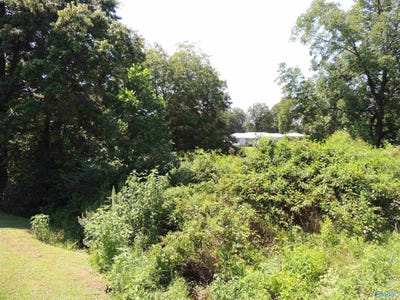 /international/us/-51-gaines-street-crossville-al-110109960299/