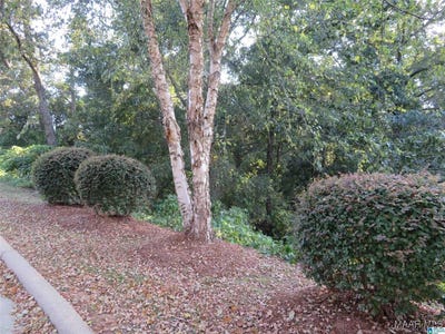 /international/us/lot-38-st-simons-way-deatsville-al-110093982773/