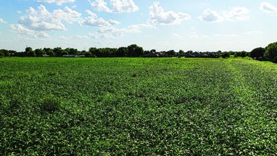 /international/us/tbd-crestwood-st-north-enid-ok-110100745927/?lang=zh-cn