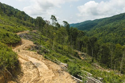 /international/us/snake-hollow-rd-sneedville-tn-110120422972/