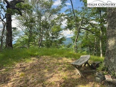 /international/us/796-goat-mountain-road-zionville-nc-110098846966/?lang=zh-tw