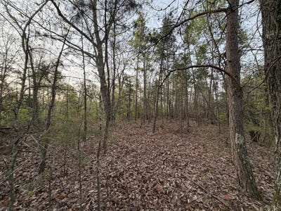 /international/us/0-salem-road-centerville-tn-110107050086/