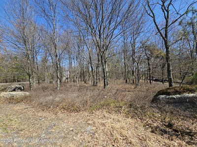 /international/us/crooked-stick-lane-hazle-twp-pa-110109473878/