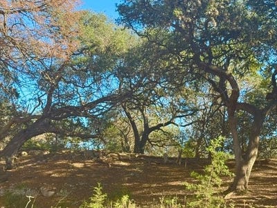 /international/us/140-spring-branch-dr-leakey-tx-110101180628/