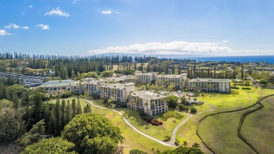 /international/us/1-ritz-carlton-dr-lahaina-hi-110110272639/