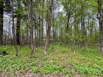 /international/us/fairway-dr-lot-36-pickerel-wi-110108219153/