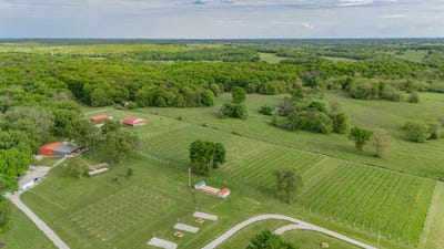 /international/us/8400-e-1320-road-stockton-mo-110101854231/