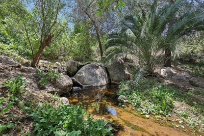 /international/us/7727-mount-ararat-way-bonsall-ca-110099962277/