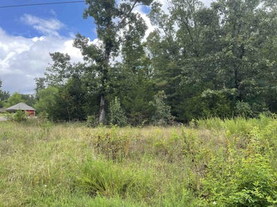 /international/us/lot-073-lakeridge-estates-searcy-ar-110101197827/?lang=en