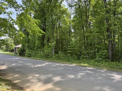 /international/us/lt-6-parrish-drive-greeneville-tn-110108447904/