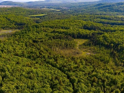 /international/us/3180-bear-hill-road-lot-1-guildhall-vt-110109138017/?lang=it
