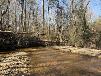 /international/us/railroad-lane-pinola-ms-110106446451/