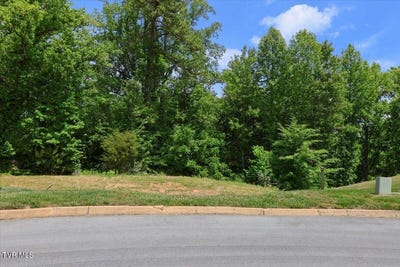 /international/us/english-ivy-trail-lot-33-jonesborough-tn-110108221352/
