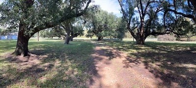 /international/us/lot-f-hwy-604-st-joseph-la-110103343087/