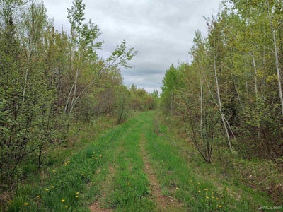 /international/us/victoria-norwich-cut-across-road-rockland-mi-110092118194/