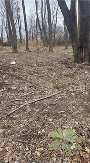 /international/us/8047-r-parallel-parkway-kansas-city-ks-110100254777/