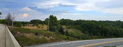 /international/us/armadillo-ln-branson-west-mo-110102320288/