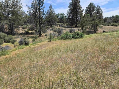 /international/us/lot-298-eel-drive-hornbrook-ca-110101023915/?lang=zh-tw