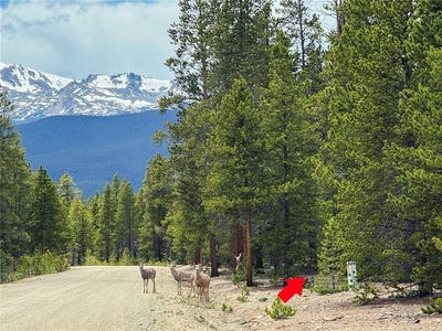 /international/us/201-snowshoe-rabbit-drive-lot-2-leadville-co-110108542961/