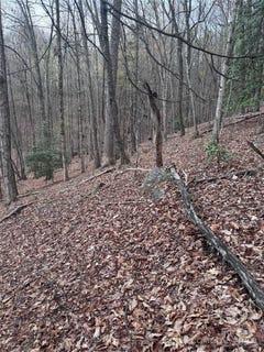 /international/us/wilkerson-court-lake-lure-nc-110100316909/